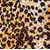 Leopard GP