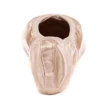 Capezio Develope 5.5, baletne špice