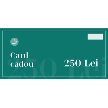 Darilni bon 250 Lei